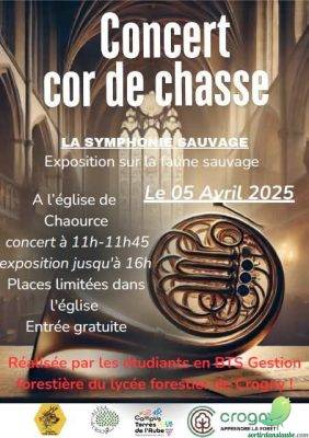Concert Cor de chasse - 0