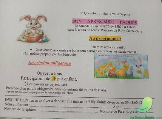 Chasse aux oeufs - 0