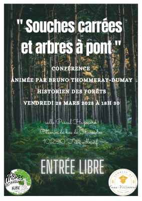 Conférence les souches carrées et arbres à pont - 0