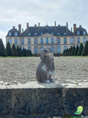 Chasse aux œufs de Pâques - 0