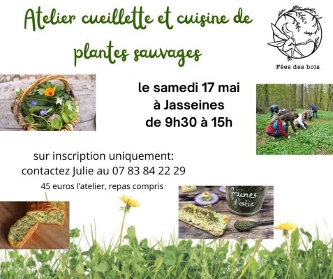 Cueillette et cuisine de plantes sauvages - 0