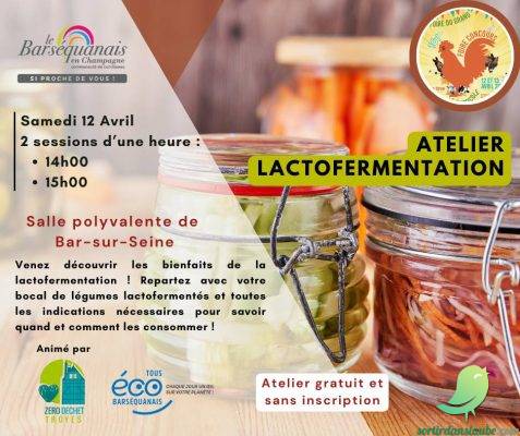 Atelier sur la lactofermentation - 0