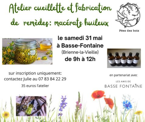 Cueillette et macérât huileux - 0