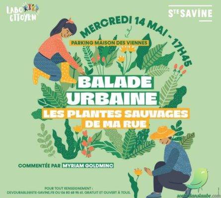 À la découverte des « mauvaises herbes » : une baladeurbaine commentée à Sainte-Savine - 0