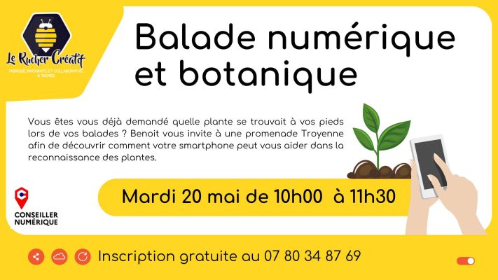 Balade numérique et botanique - 0
