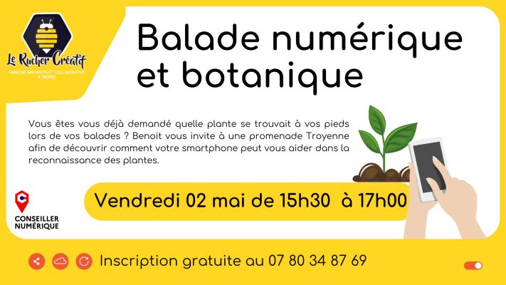 Balade numérique et botanique - 0