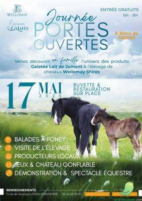 Journée porte ouverte: élevage chevaux - 0