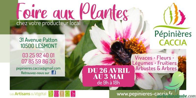 Foire aux plantes - 0