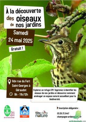 Chants et plumes : A la découverte des oiseaux de nos jardins - 0