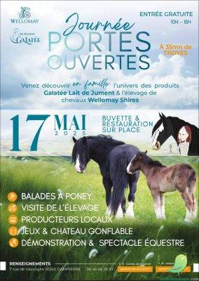 Porte ouverte: élevage de chevaux - 0