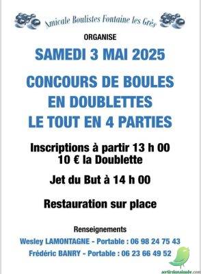 Concours de pétanque - 0