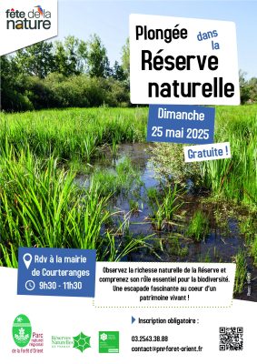 Plongée dans la Réserve naturelle - 0