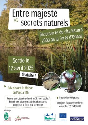 Découverte du site Natura 2000 de la Forêt d&rsquo;Orient - 0