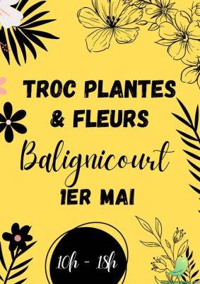Troc plantes et fleurs - 0
