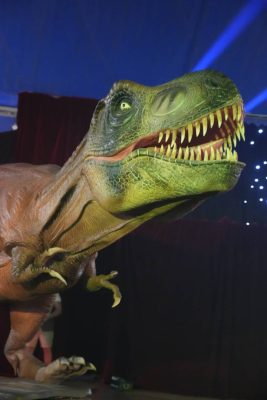 Le Musée Éphémère® des dinosaures - 2