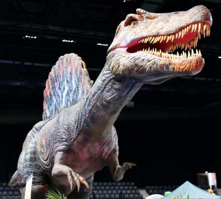 Le Musée Éphémère® des dinosaures - 3