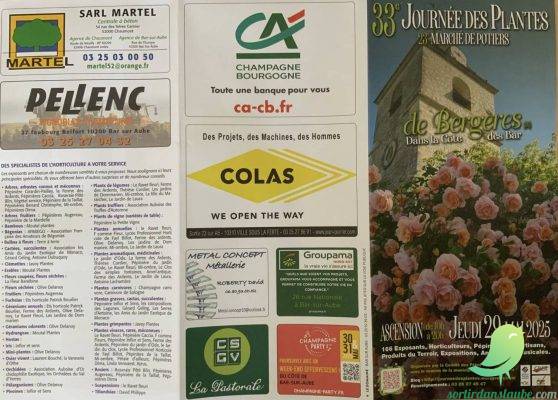 Journée des plantes – Marché de potiers - 1