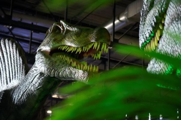 Le Musée Éphémère® des dinosaures - 4