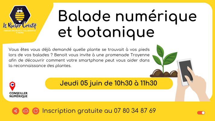 Balade numérique et botanique - 0