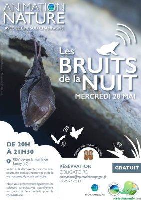 Les bruits de la nuit - 0
