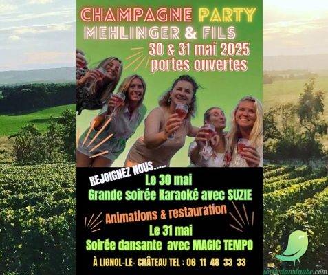 Champagne Party - 0
