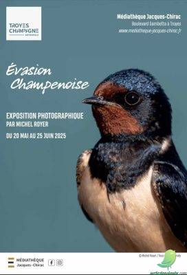 Exposition: Evasion Champenoise - 0
