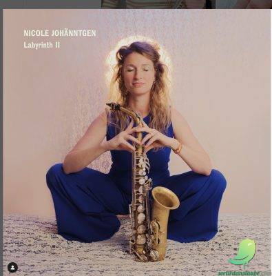 Concert: trio Nicole Johaenntgen saxo John Hansen voix David Stauffa tuba - 0