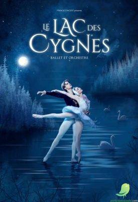 Le Lac des Cygnes - 0