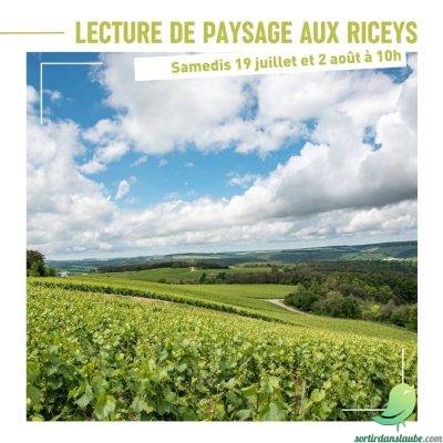 Lectures de Paysage Vertical aux Riceys - 0