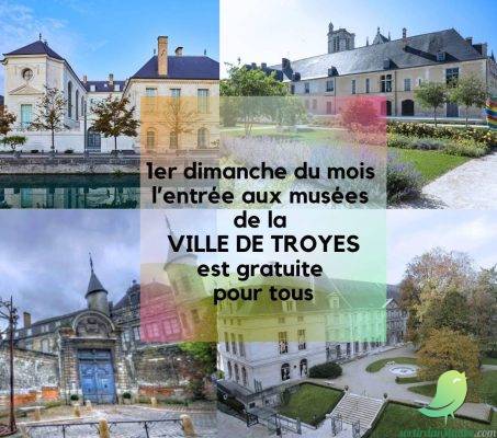 Entrées gratuites au musée de la ville de Troyes - 0
