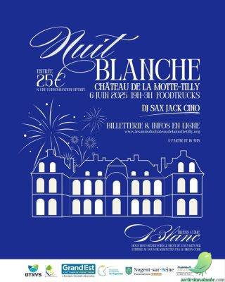 Nuit blanche au Chateau de la Motte Tilly - 0
