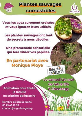 Plantes sauvages comestibles - 0