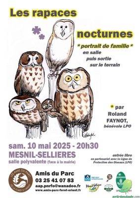 Les rapaces nocturnes - 0