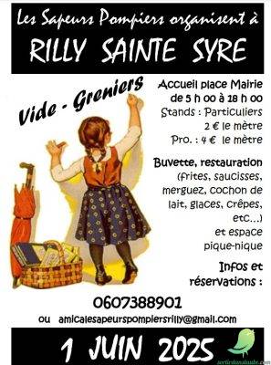 Vide grenier: Rilly Sainte Syre - 0