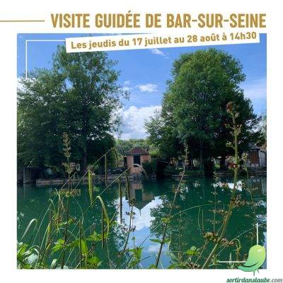 Visite guidée de Bar-sur-Seine - 0
