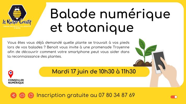 Balade numérique et botanique - 0