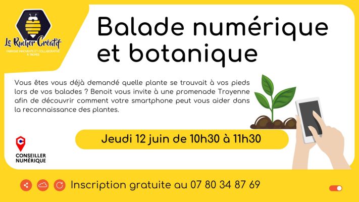 Balade numérique et botanique - 0