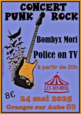 Soirée Punk Rock - 0