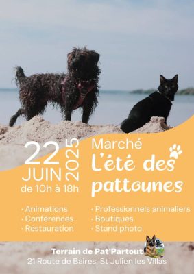 L’été des Pattounes - 0