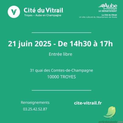 Rencontre autour… des analyses scientifiques des vitraux de Chalons en Champagne - 3