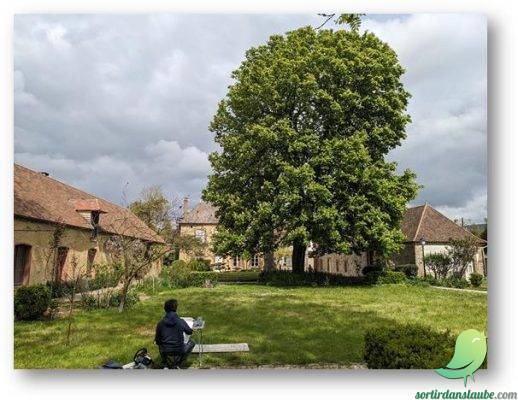 Journée découverte « En passant par Villemaure-sur-Vanne, Pâlis et Villadin » - 0