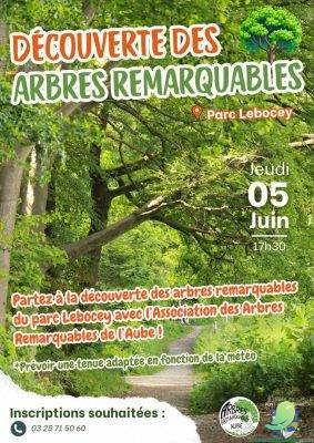 Visite guidée des arbres remarquables - 0