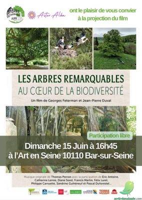 Projection: les arbres remarquables… - 0