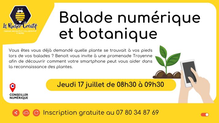 Balade numérique et botanique - 0