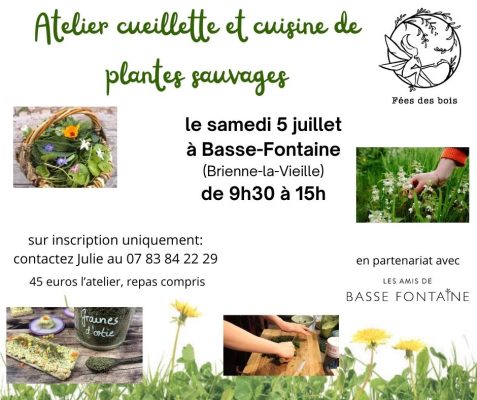 Cueillette et cuisine de plantes sauvages - 0