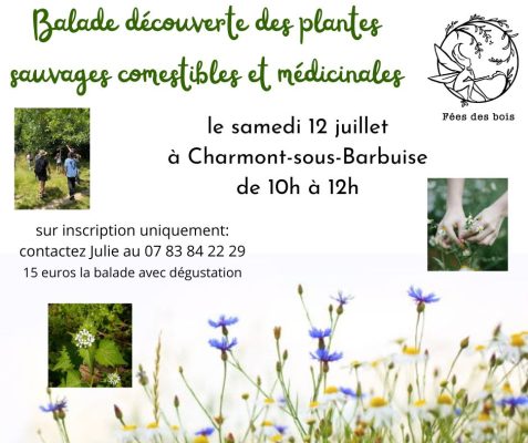 Balade initiatique autour des plantes sauvages - 0