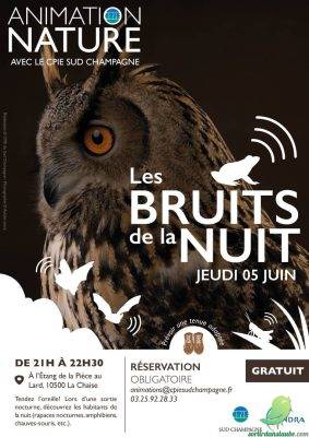 Les bruits de la nuit - 0