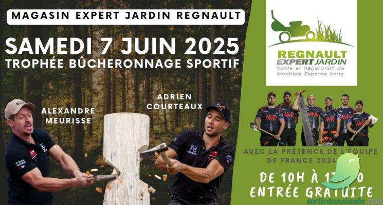 Trophée bucheronnage - 0