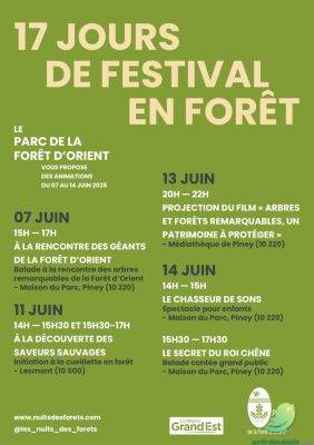 La Nuit des forêts - 1