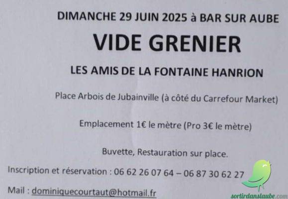Vide grenier: Bar sur Aube - 0